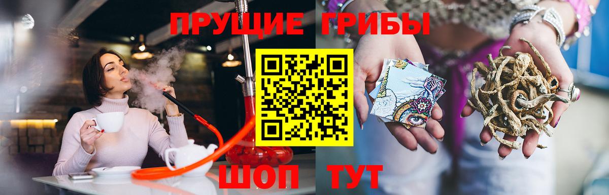 Псилоцибиновые грибы прущие грибы Кудымкар